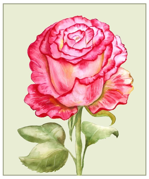 Rosa aquarela vermelha