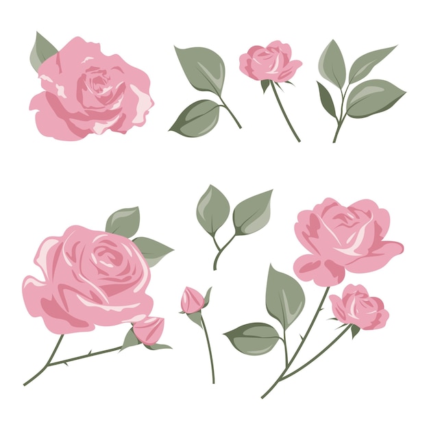 Vetor rosa clipart para recursos gráficos flor bonita em fundo branco isolado