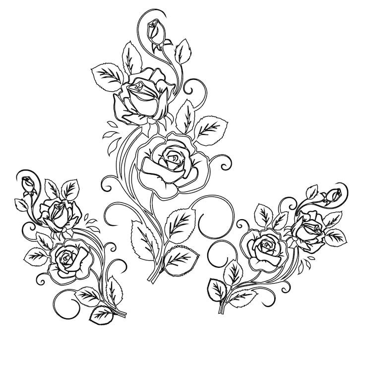 Rosa desenho à mão flor para colorir