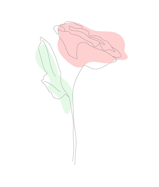 Rosa em estilo linear com manchas coloridas. Desenho preto e branco. Pós composição. Plantar. Poster