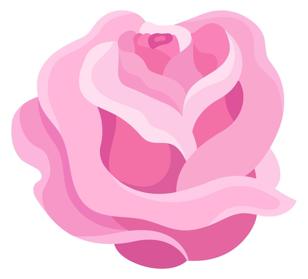 Pétala Cor-de-rosa Da Flor Na Almofada Da Menstruação Imagem de Stock -  Imagem de conceito, arte: 124038873