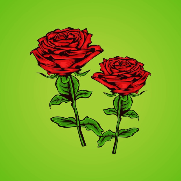 Rosas de beleza mão desenhada