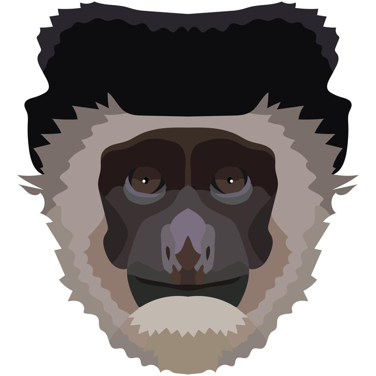 Vetor rosto de colobus o focinho de um macaco é retratado retrato brilhante em um logotipo animal de gráficos preditivos de fundo branco