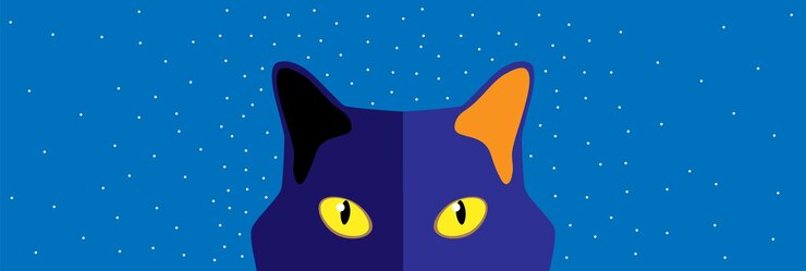Vetor rosto de um gato em uma noite estrelada. conceito de cuidado e carinho para animais de estimação e animais. feito em vetor