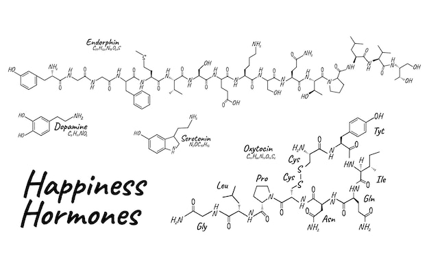 Rótulo do ícone da fórmula química esquelética do conceito de hormônio da felicidade humana, ilustração em vetor fonte texto, isolado no branco. tabela de elementos periódicos. sistema endócrino de estilo de vida saudável.
