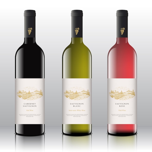 Rótulos de vinho vermelho branco e rosa de qualidade Premium definidos nas uvas de mão desenhada de garrafas de vetor realista ...