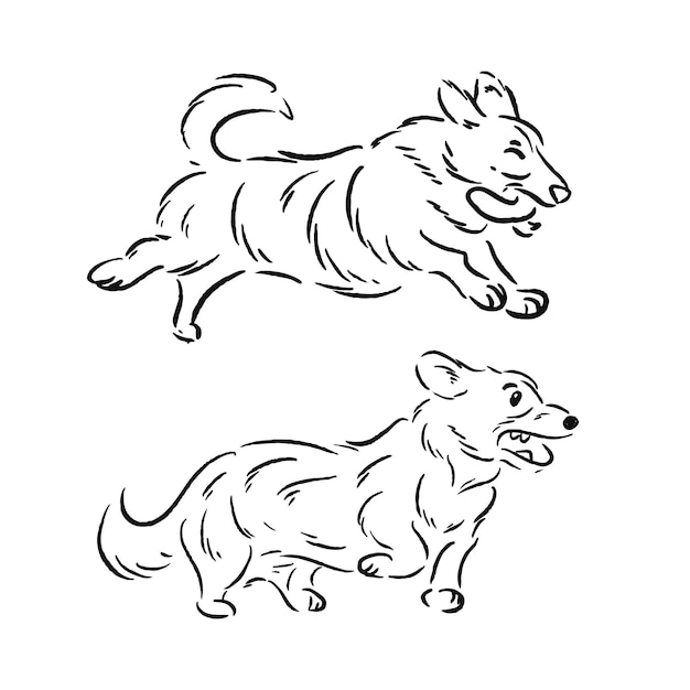 Running corgi dog set ilustrações desenhadas à mão e esboço