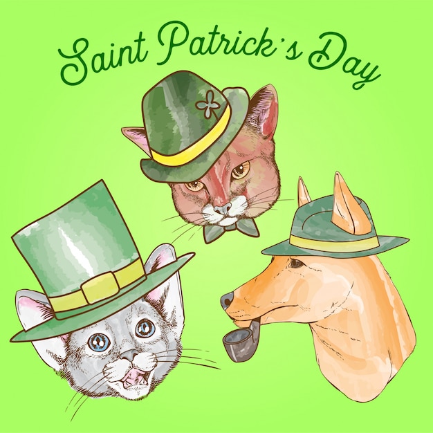 Saint patrick day cachorro e gato