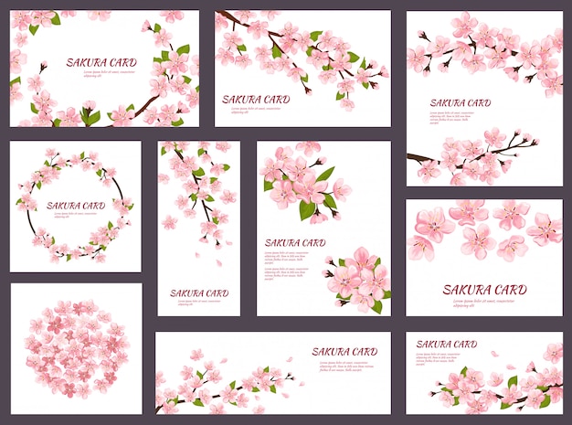 Vetor sakura flor cereja cartões com ilustração de flores desabrochando rosa primavera conjunto japonês de decoração de modelo de floração de convite de casamento isolado no fundo branco