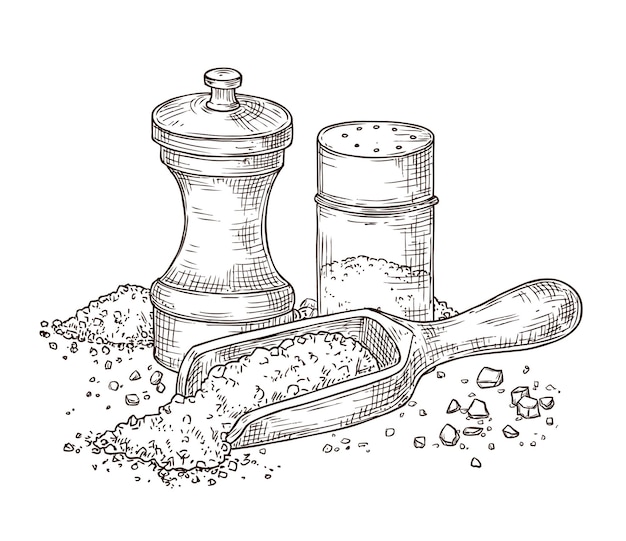 Vetor sal marinho. esboce o tempero, gravando o shaker de pimenta e a colher com o pó. embalagem de vidro, ilustração vetorial de ingredientes de utensílios de cozinha de especiarias. tempere o sal e a pimenta para cozinhar, esboço do ingrediente