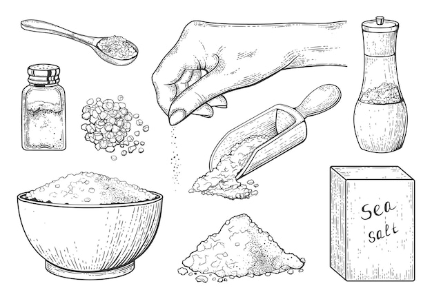Sal marinho gravura vintage tempero de comida em colher e tigela pó de cristal de sal desenhado à mão na mão colher de madeira com conjunto de esboço de vetor de sal