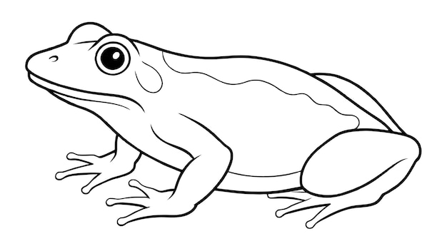 Salta para o Design Ilustração vetorial cativante de rãs
