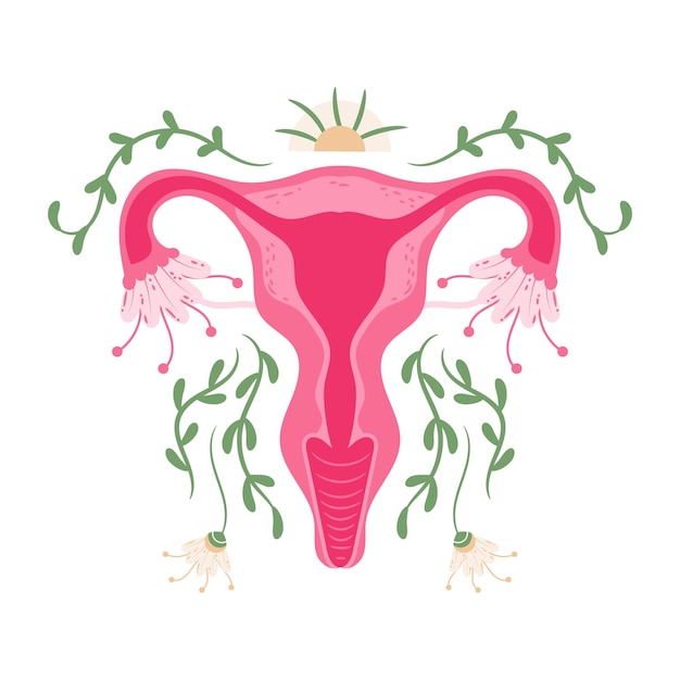 Vetor saúde das mulheres útero floral ovário sistema reprodutivo conceito
