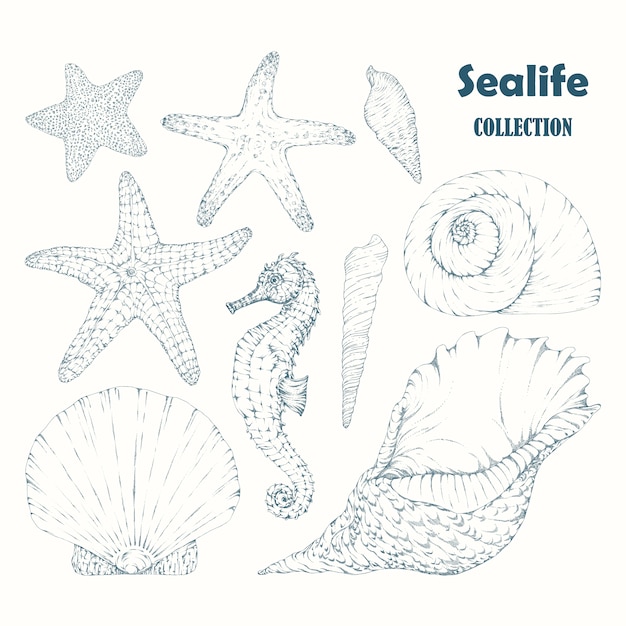 Sealife elements colletion