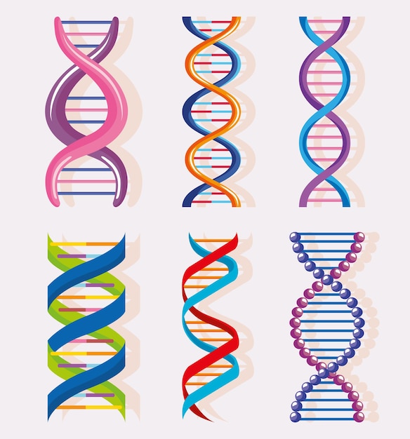 Seis moléculas de dna