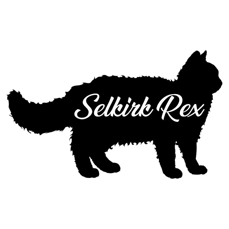 Vetor selkirk rexcat silhueta gato raças de gato logotipo silhueta vetor ilustração animal ícone sinal design