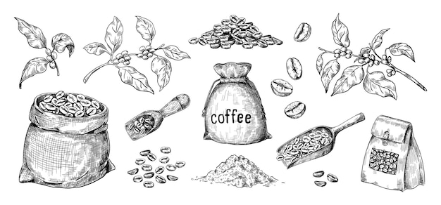 Sementes de café arábica desenhadas à mão e sacos cheios de feijões torrados ramos com folhas colheres de madeira ingredientes orgânicos para preparar bebida de cafeína vector conjunto de esboços em preto e branco