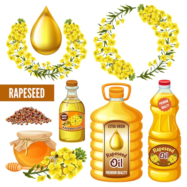 Sementes de colza, flores, óleo de canola. Brassica napus