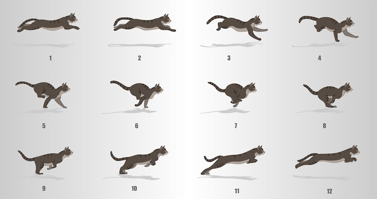 Sequência de animação do ciclo Cat Run
