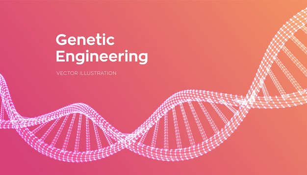 Sequência de DNA. Estrutura de moléculas de DNA de estrutura de arame malha.
