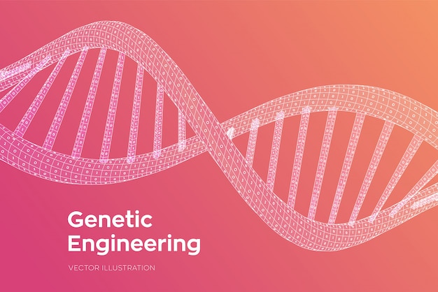 Sequência de DNA. Genoma humano do código binário do conceito. Estrutura de moléculas de DNA digital de estrutura de arame malha.