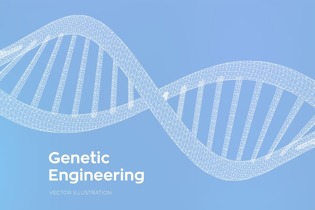 Sequência de dna. genoma humano do código binário do conceito. malha de estrutura de moléculas de dna digital de wireframe. modelo editável de código de dna de inteligência artificial. conceito de ciência e tecnologia. ilustração vetorial.