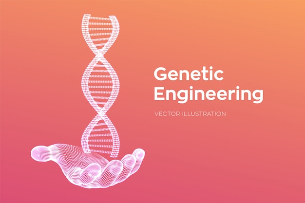 Sequência de DNA na mão. Estrutura de moléculas de DNA de estrutura de arame malha. Modelo editável de código de DNA. Ciência e Tecnologia . ilustração.