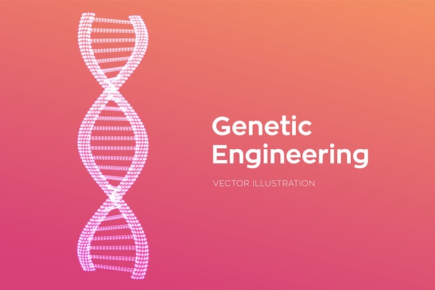 Sequência de DNA. Wireframe DNA código moléculas estrutura malha.