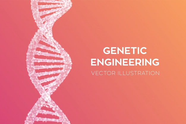 Sequência de DNA. Wireframe DNA código moléculas estrutura malha.