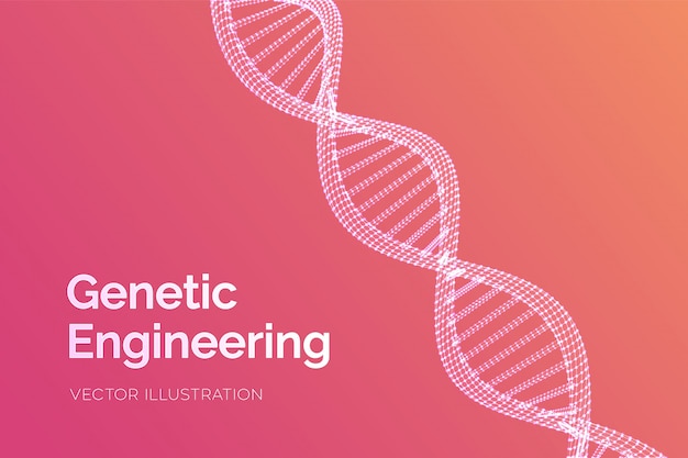 Sequência de DNA. Wireframe DNA código moléculas estrutura malha.