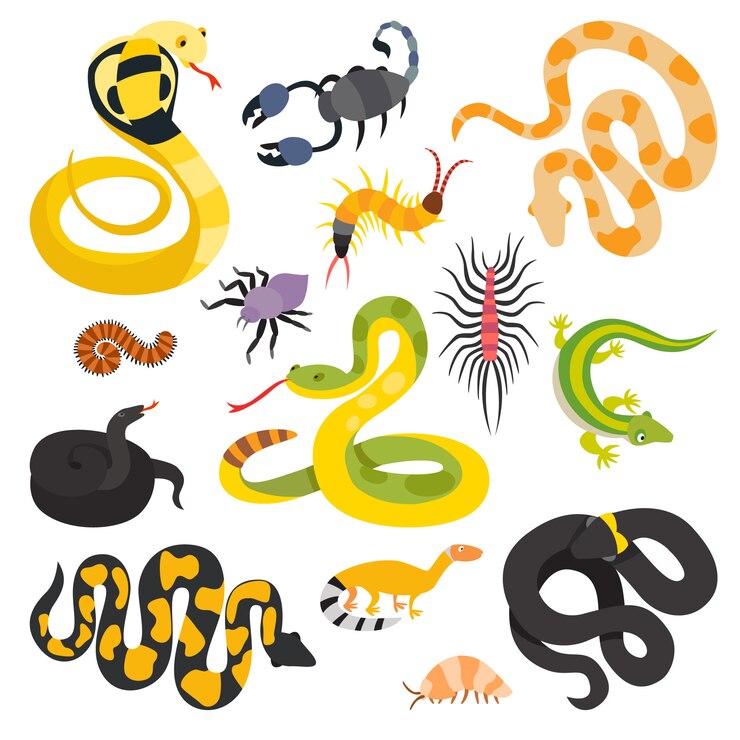 Serpentes lisas do vetor e a outra coleção dos animais do perigo isolada.