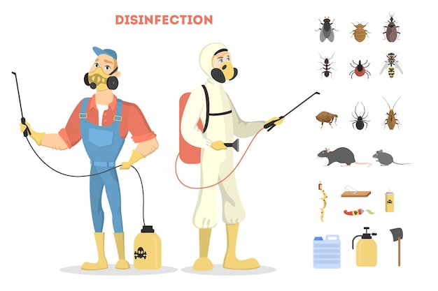 Serviço de controle de pragas. desinfecção de insetos ou vírus ruins.