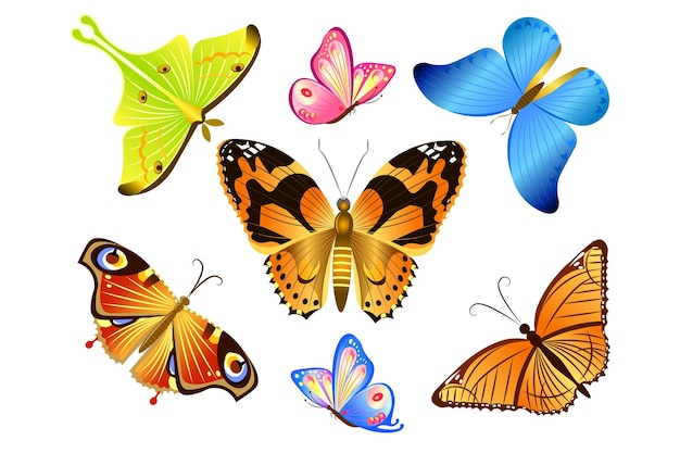 Set butterflies