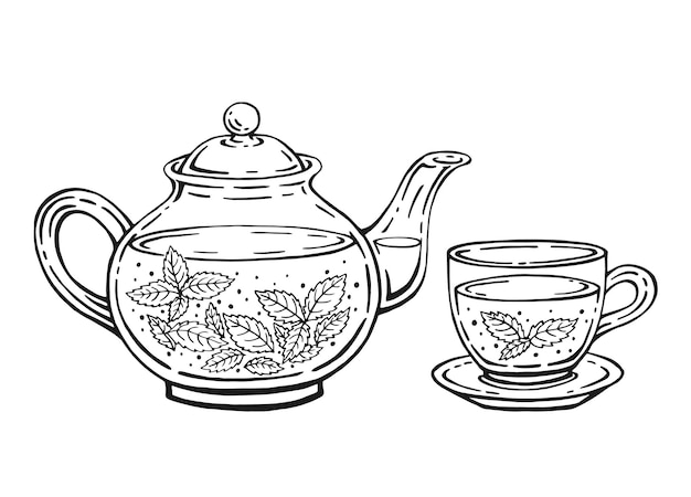 Set de chá com folhas saudáveis de hortelã de chá verde, chaleira e xícara Ilustração vetorial desenhada à mão