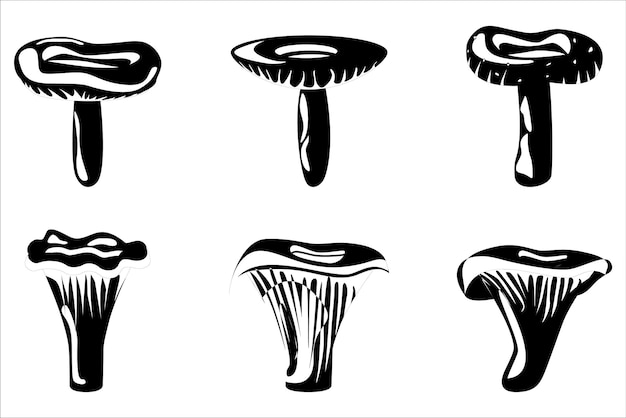Set de cogumelos contorno comestível cogumelos orgânicos trufa floresta tipos de cogumelos selvagens ilustração