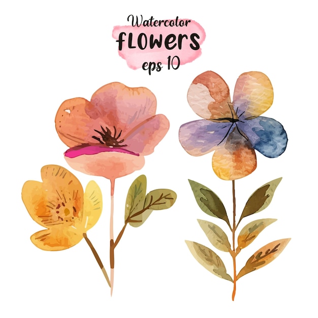 Vetor set de flores aquareladas conceito com arranjos florais isolados em fundo branco eps10