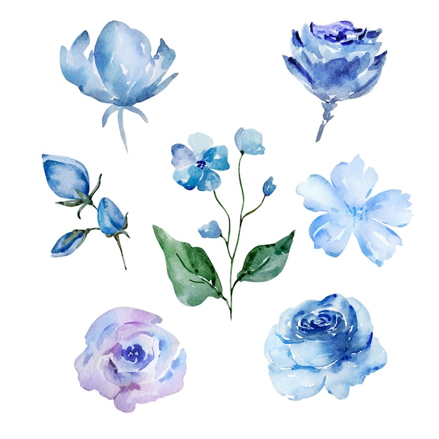 Set de flores de aquarela azul