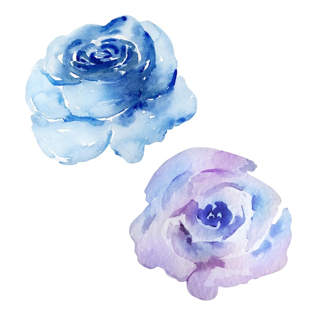Set de flores de aquarela de rosa azul