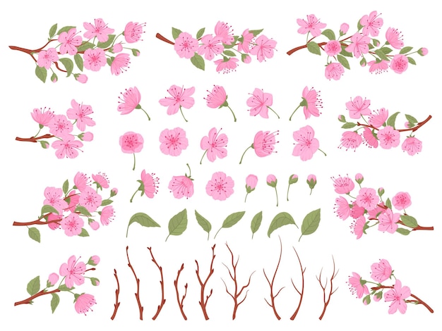 Set de flores de cerejeira sakura galhos em flor primavera árvore de cerejeira japonesa folhas flores e botões vector plana coleção de ilustrações flora tradicional asiática em flor.