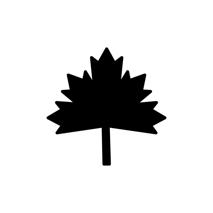 Vetor set de ícones canadenses de folha de outono maple canadá símbolo vetorial de outono em preto preenchido e delineado sinais de mudança de estação de estilo