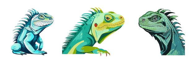 Set de iguanas de desenho animado Ilustração vetorial