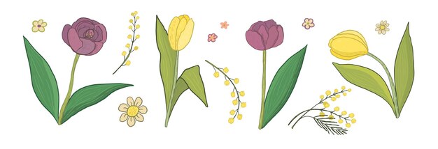 Vetor set de ilustrações vetoriais de flores de tulipa