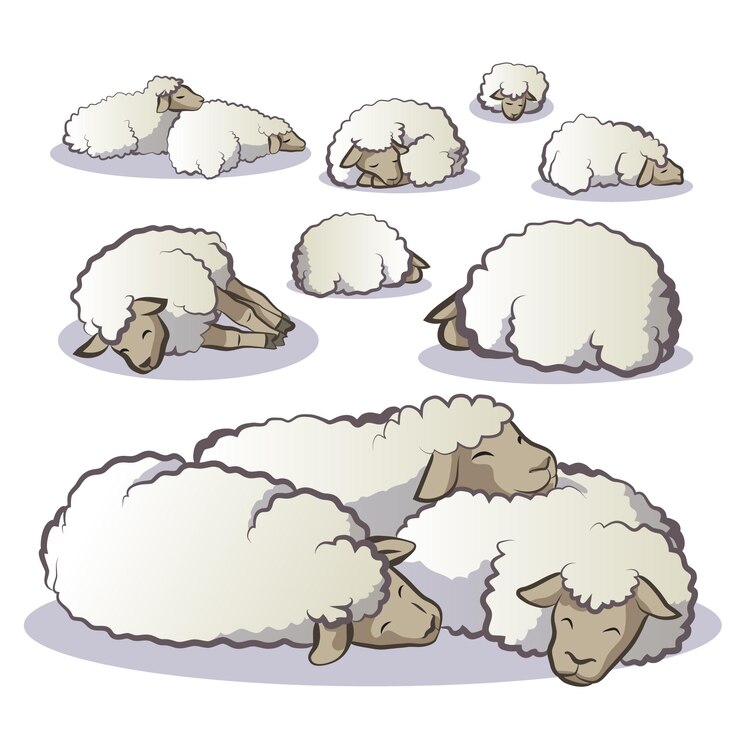 Set de ovejas durmiendo