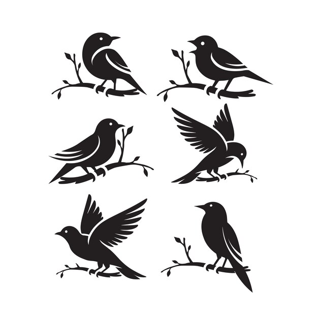 Set de silhueta de pássaro empoleirado em um ramo de árvore logotipo gráfico vetorial