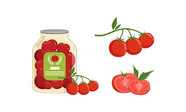 Set de tomates frescos maduros e enlatados Produto orgânico saudável Ilustração vetorial de desenho animado