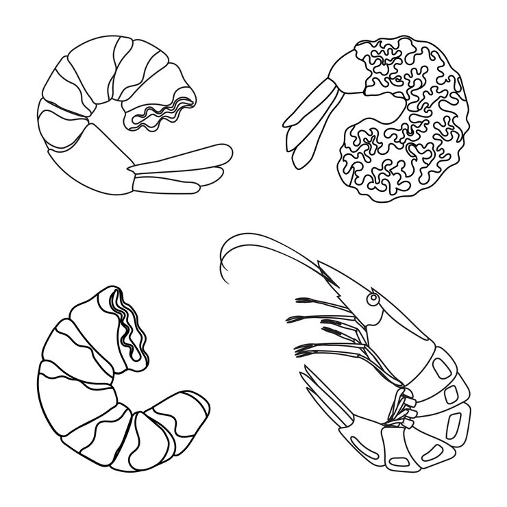 Vetor set icon camarão descascado com cauda ilustração linear camarão sem casca rosa
