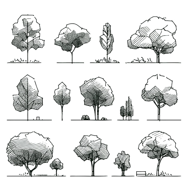 Vetor sete esboços de árvores desenhados à mão perfeitos para ilustração arquitetônica