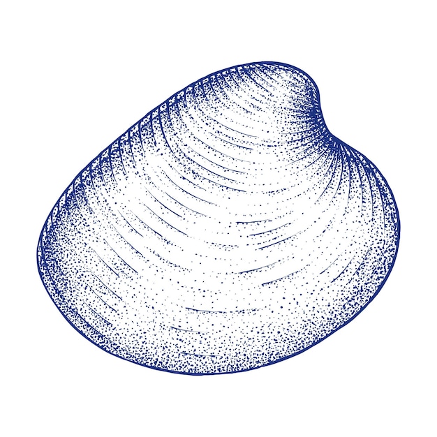 Shell ilustração desenhada à mão