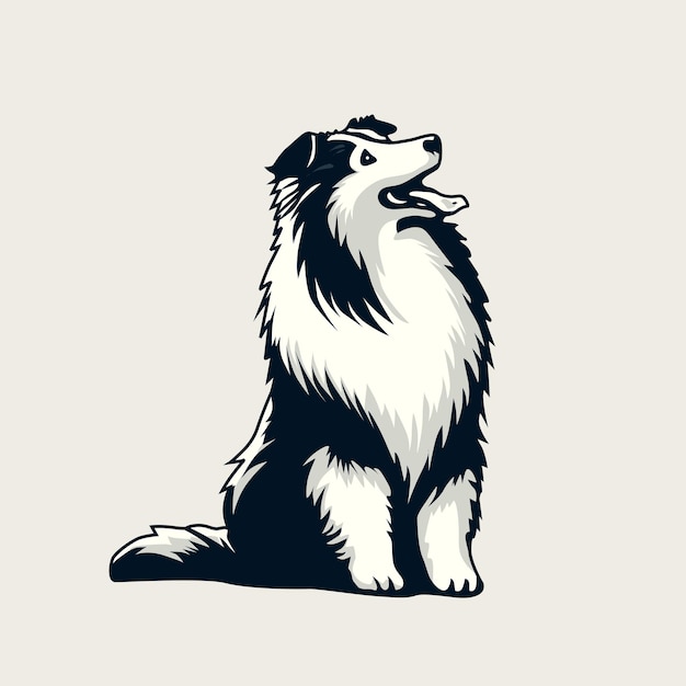 Sheltie sentado olhando para cima ilustração vetor