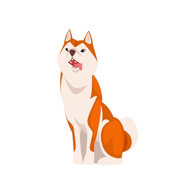 Shiba Inu Dog Cute Sitting Japão Fluffy Pet Animal Ilustração vetorial em fundo branco